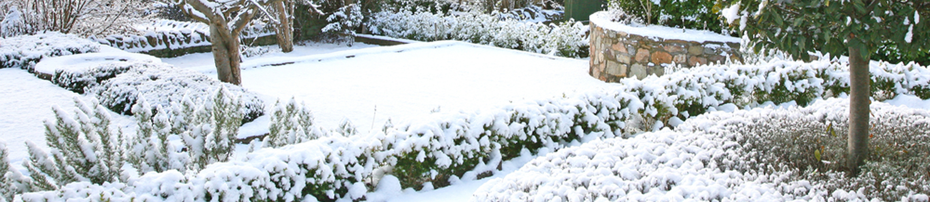 Giardino d'inverno